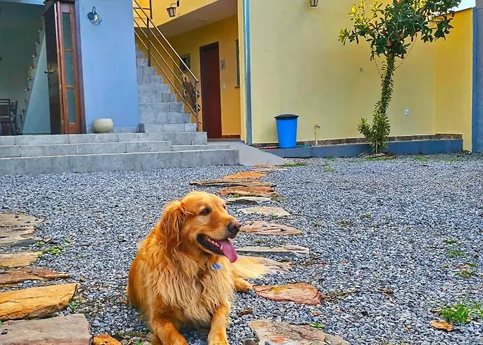 Pássaros do Cerrado Suítes Alto Paraíso de Goiás